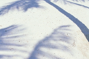 白い砂丘